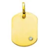 Pendentif Plaque Tonneau - Diamant & Or Jaune 18ct -Mikado Soldes Magasin pendentif plaque diamant T3B product